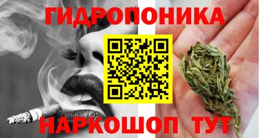 ALPHA-PVP Новозыбков